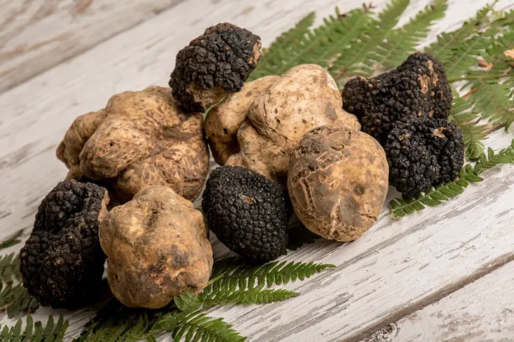 what do truffles taste like