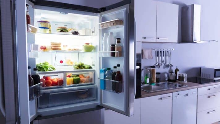 Homepage 4 Best Propane Refrigerator