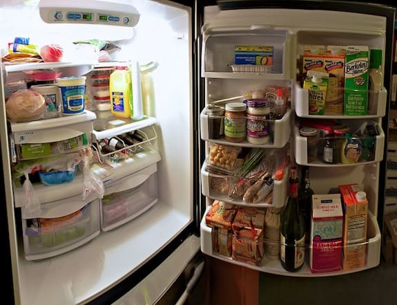 fridge Best Propane Refrigerator