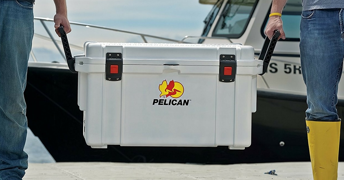 Top 15 Best 20 Quart Cooler Reviews & Comparison 2024