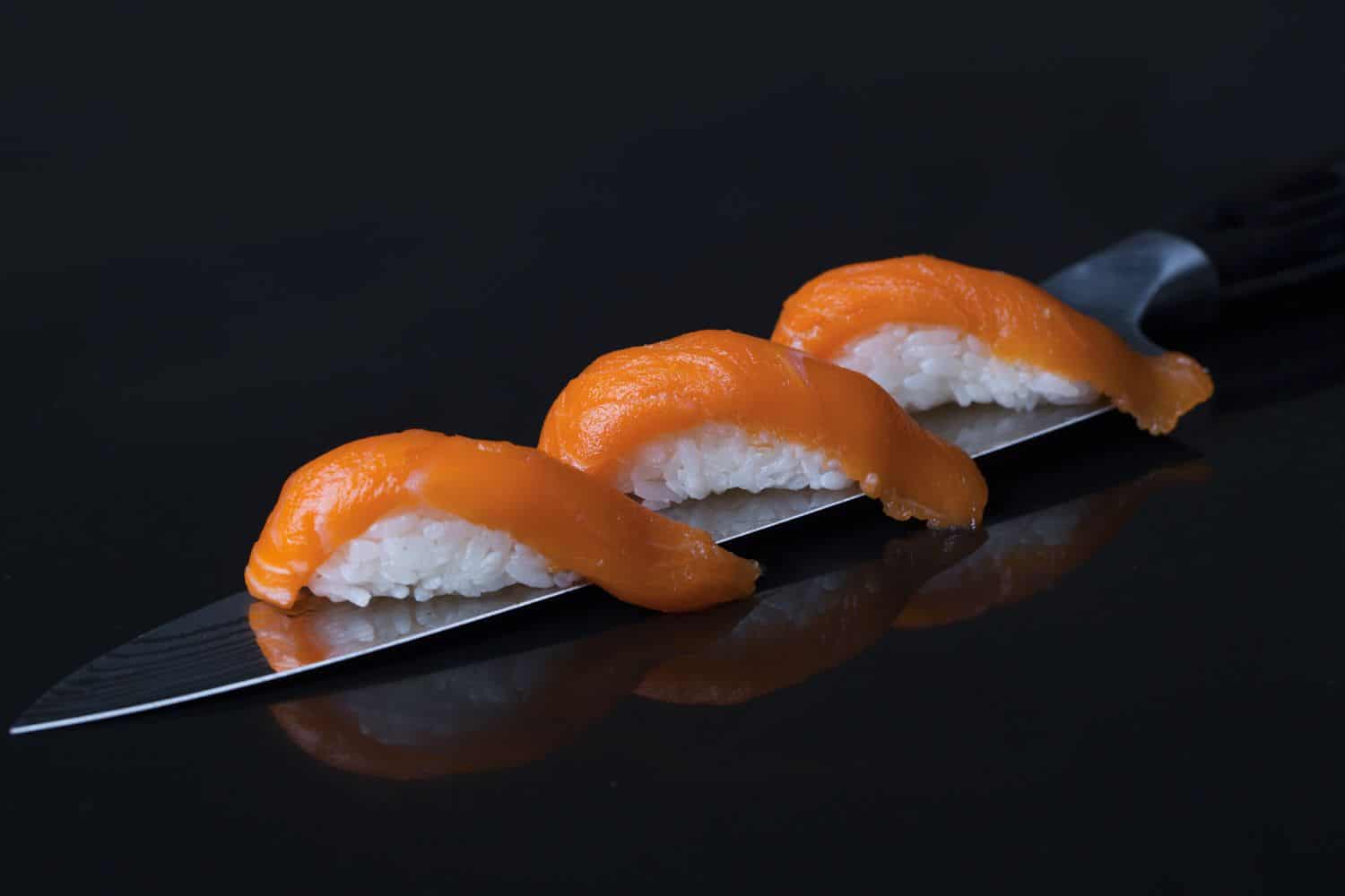 salmon nigiri pillow