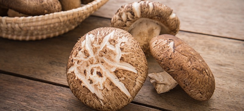 Why Shiitake Mushrooms Health Benefit 1 shiitake mushrooms health benefit