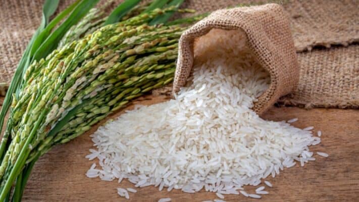 Homepage 17 Legacy vs price Rice exports from Vietnam and India vie for ASEAN trade post COVID 19
