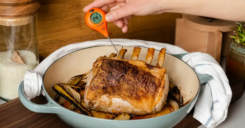 Where To Put The Thermometer In Turkey: Temperature Check 1 where to put the thermometer in turkey