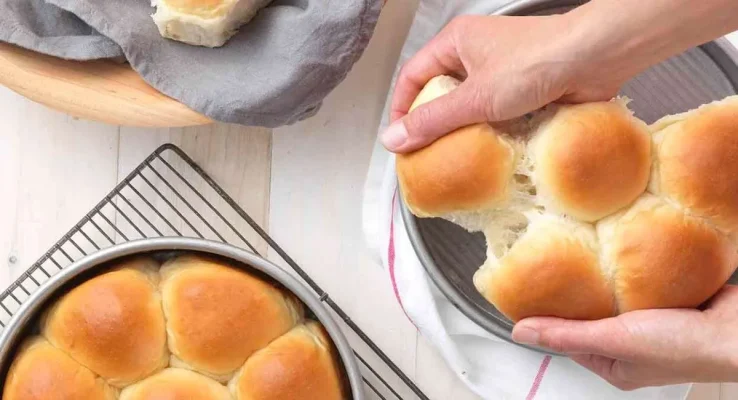 Homepage 51 Parker House rolls frozen