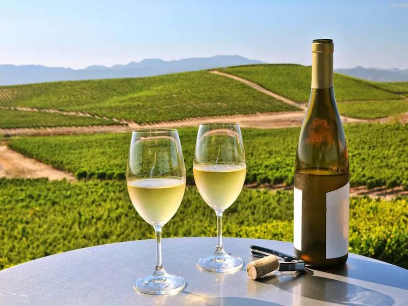 Best Semi Sweet White Wine For Christmas Parties And New Year's Eve Celebrations 5 Best Semi Sweet White Wine