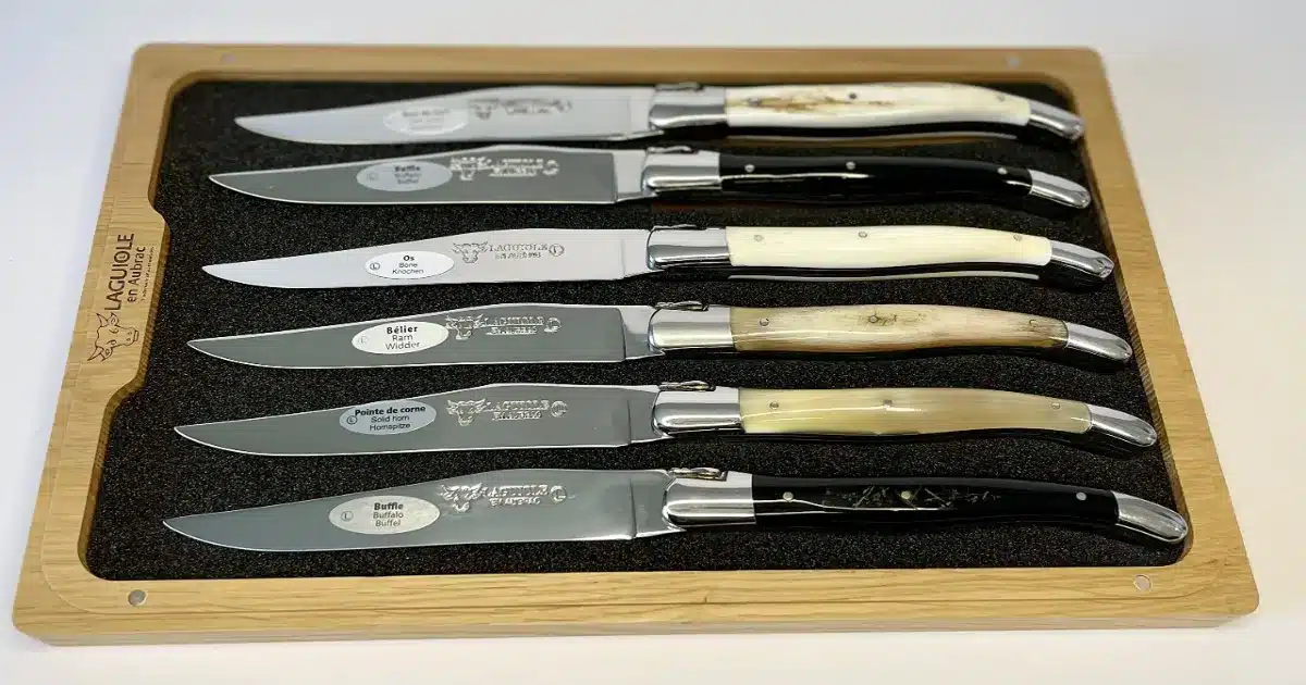 Reviewing the 7 Best Laguiole Steak Knives 1 best laguiole steak knives