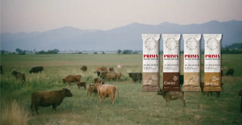 SWOF Header small 2 1